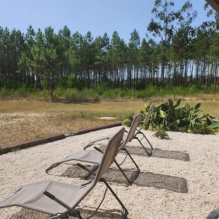 Quinta Das Camarinhas 坎塔涅迪 外观 照片