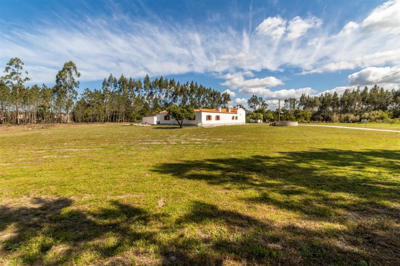 Quinta Das Camarinhas 坎塔涅迪 外观 照片