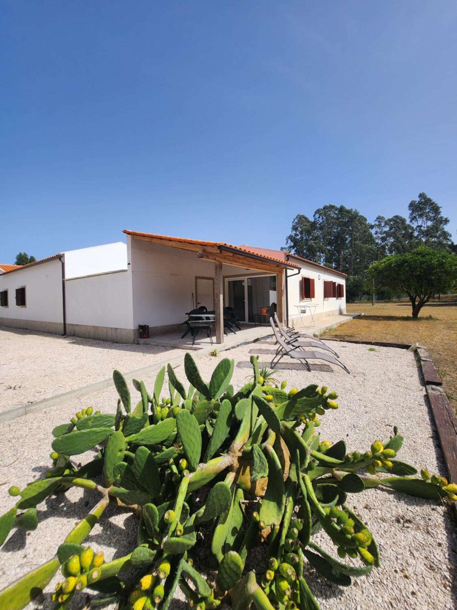Quinta Das Camarinhas 坎塔涅迪 外观 照片